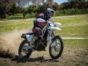 DM2_4603.jpg
